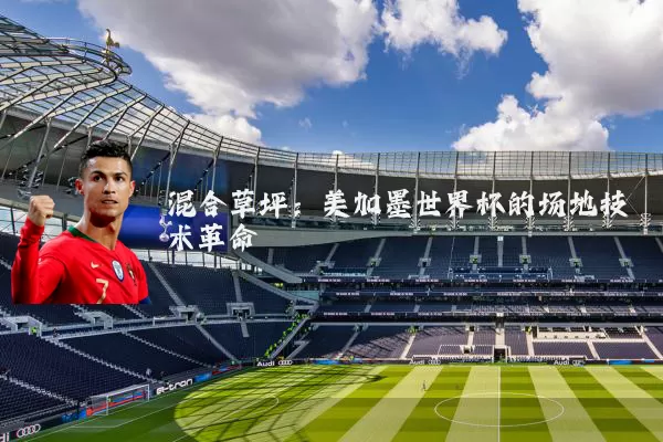 混合草坪：美加墨世界杯的场地技术革命
